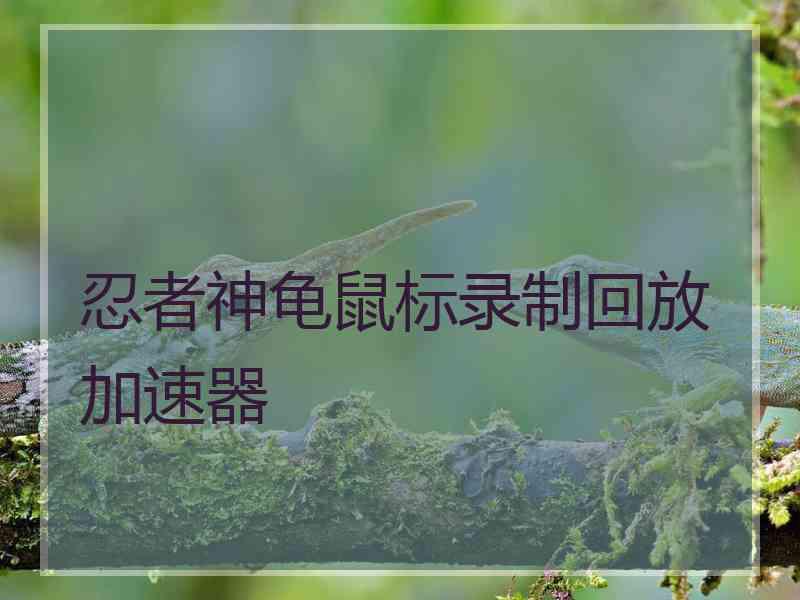 忍者神龟鼠标录制回放加速器