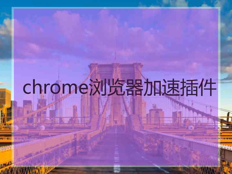 chrome浏览器加速插件